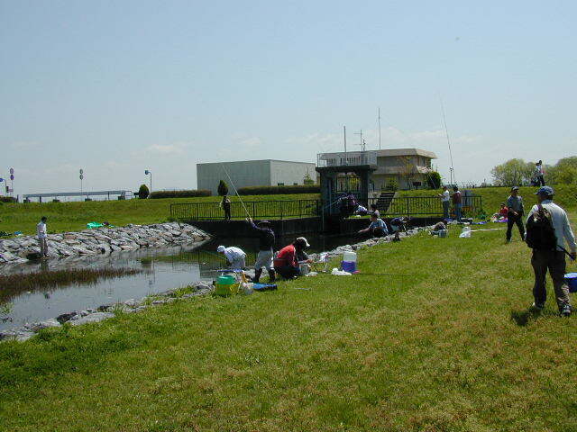 biwako02.jpg